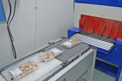 Sala lavorazione Iceland