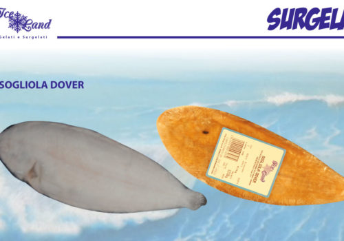 Sogliola Dover