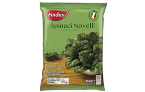 FINDUS SPINACI NOVELLI GR.850